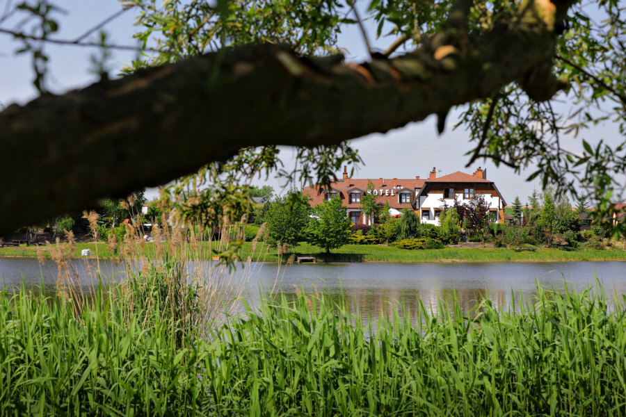 Hotel Dwór Bogucin 05