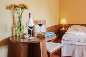 Hotel Dwór Bogucin 12